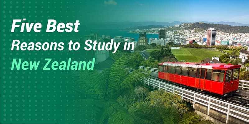 Five best Reasons to Study in New Zealand